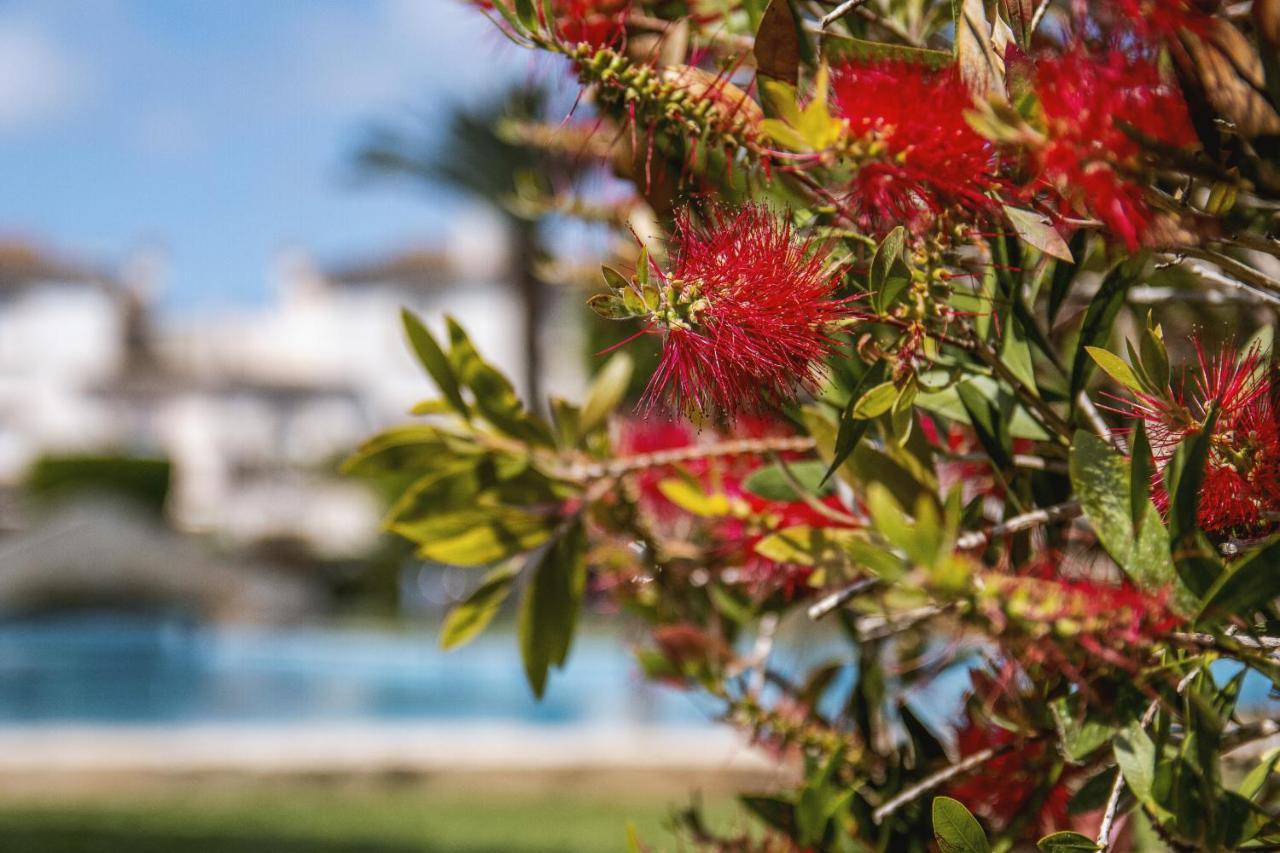 Avalon Apartment Javea Exterior photo